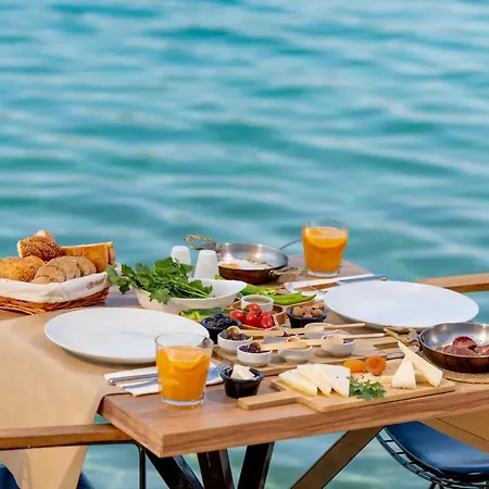 酒店 Casa Daracia *